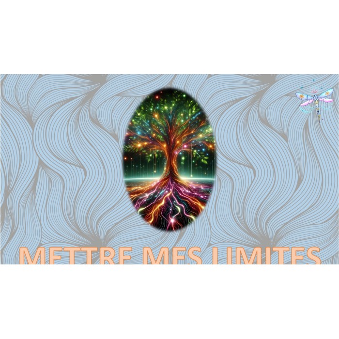 Constellation systémique : METTRE MES LIMITES