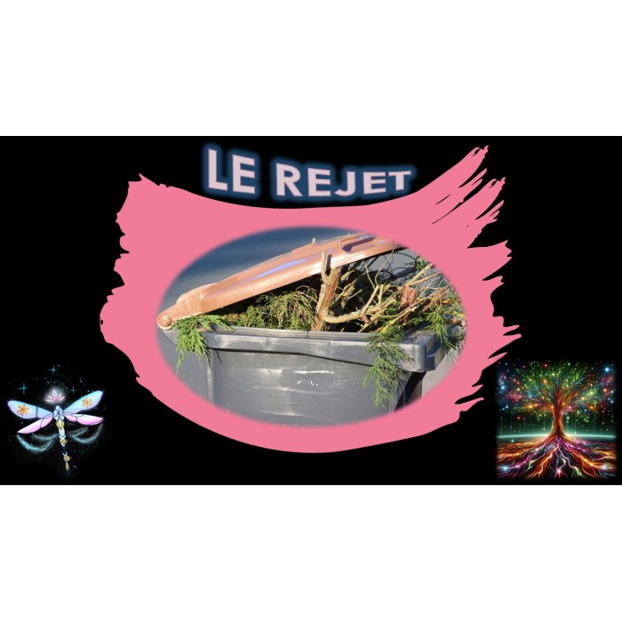 Constellation systémique : LE REJET